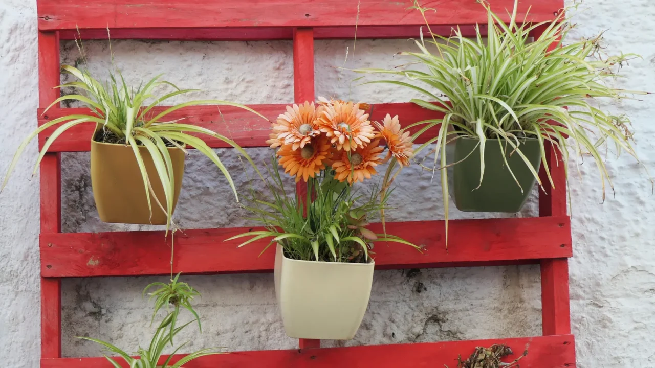 flower pots on red painted wooden pallet in village andalusia