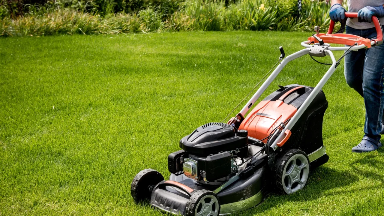 gardener mowing the lawn landscape design green grass background