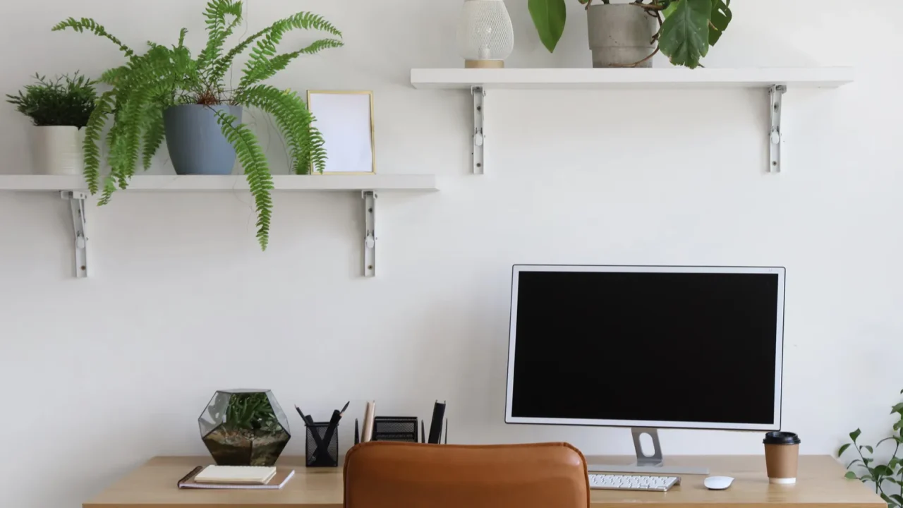 interior of office with workplace shelves and green houseplants