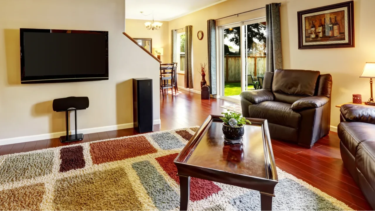 living room interior with tv and colorful rug