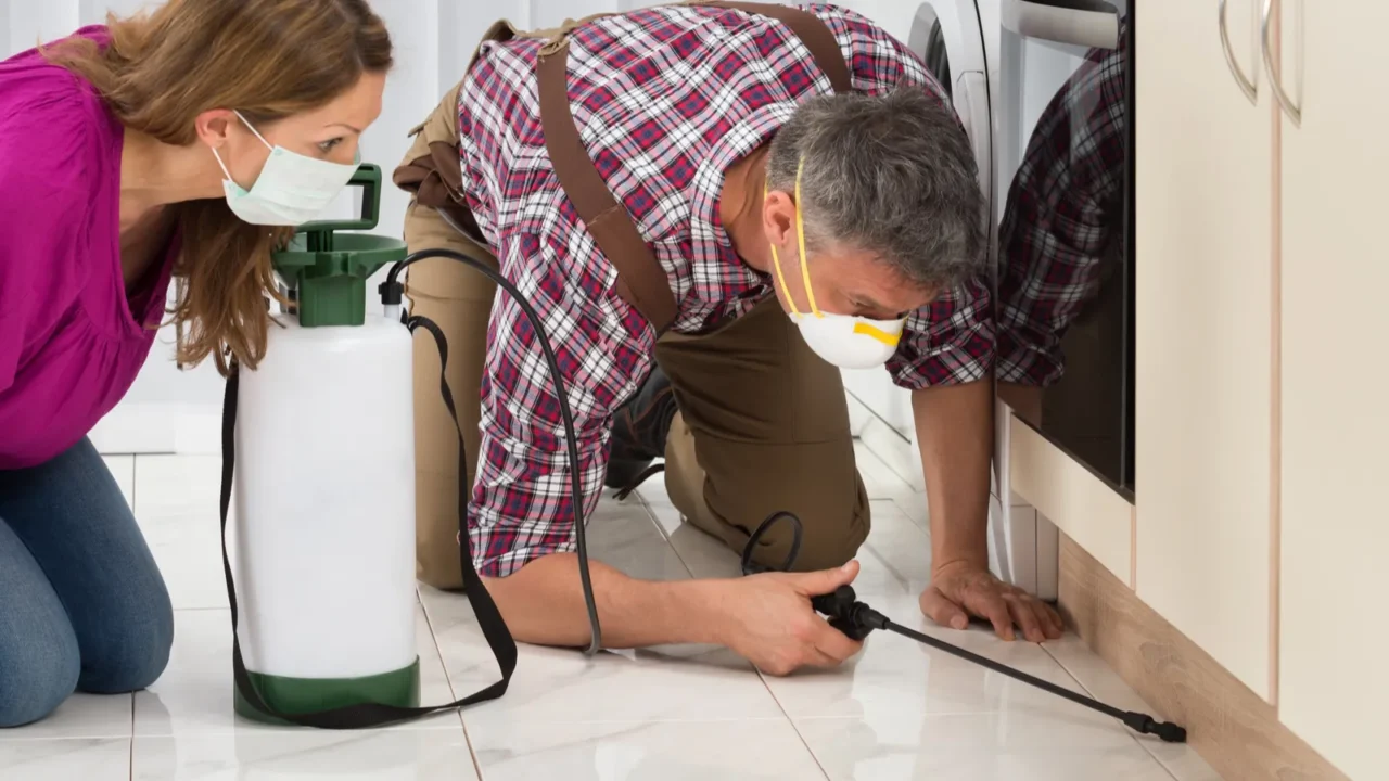 Two people inspecting a kitchen area, one spraying insecticide, and the other observing closely, both wearing masks.