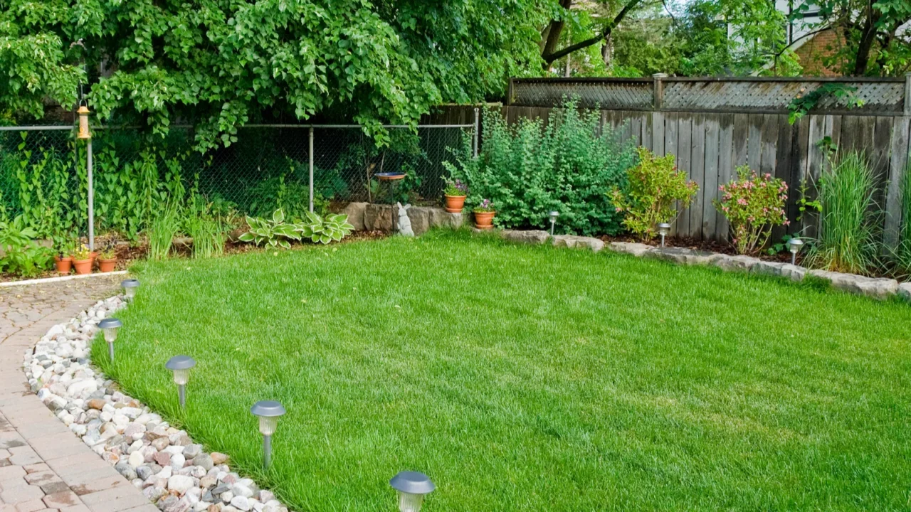 manicured garden