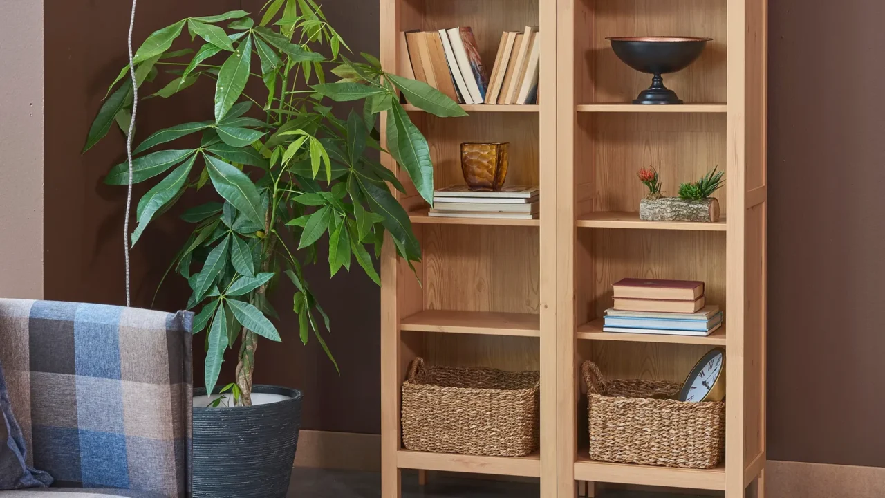 A wooden bookshelf with books, decor accents, and woven storage baskets in a living room with a houseplant beside it.