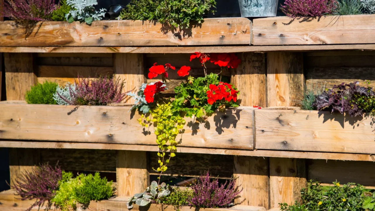 pallet rebuilt into flower boxes