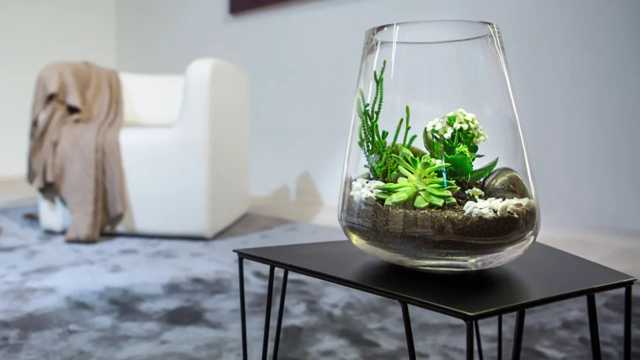 plants in vase