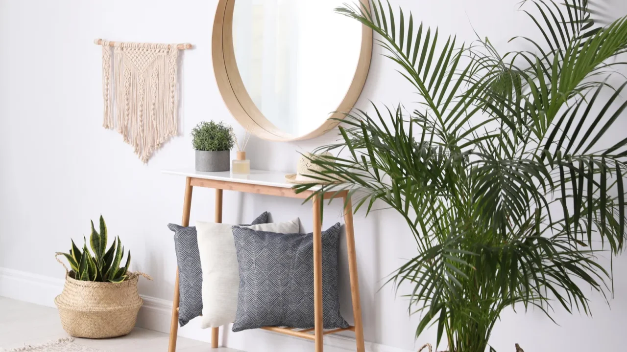 round mirror and plants at home idea for interior design