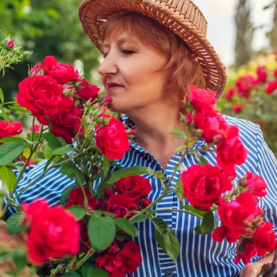 Designer-Approved Plants to Grow Right Now