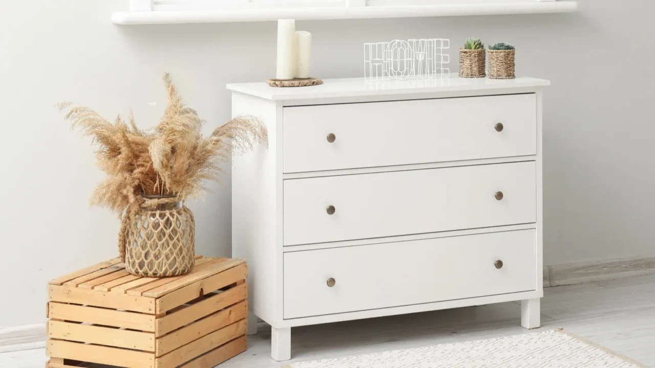 stylish white chest of drawers and vase with pampas grass