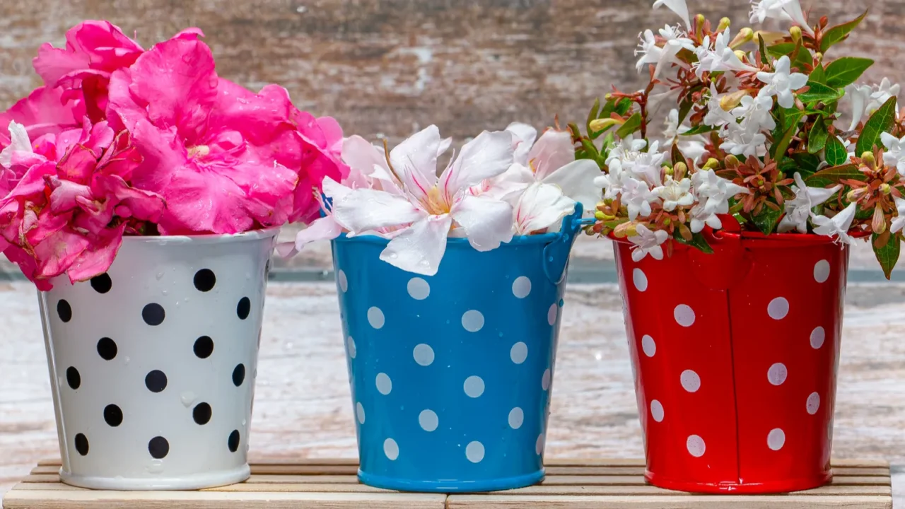 three red white and blue metal buckets with colorful flowers