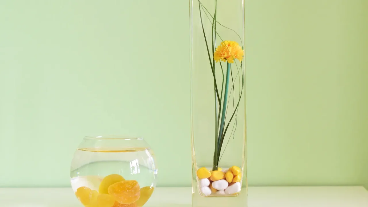 two vases of transparent glass on a green background