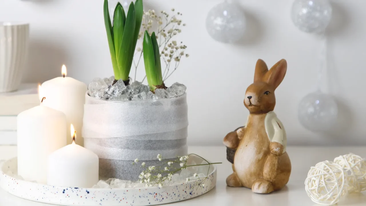 unblown hyacinths with burning candles on a tray a stack