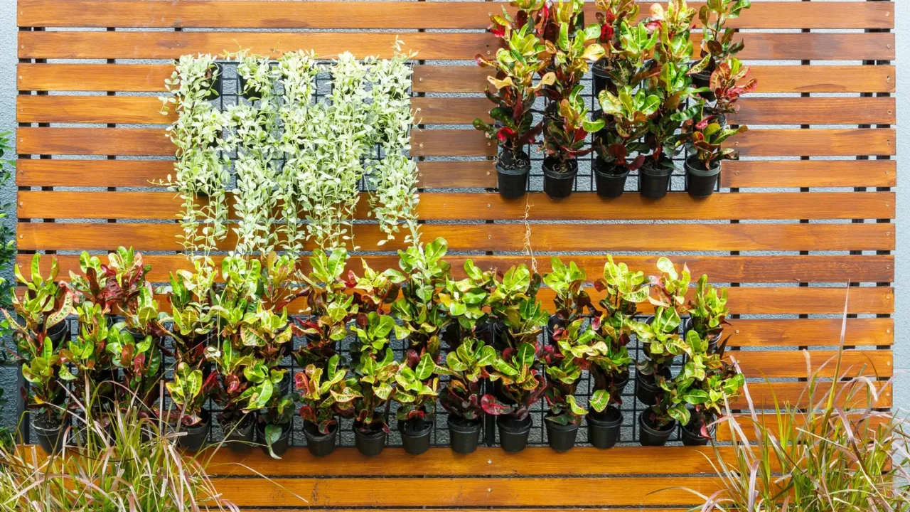 vertical garden
