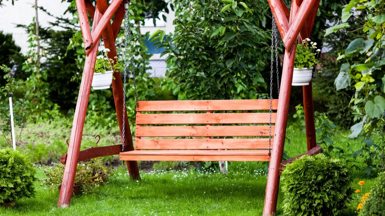 wooden bench in the park green grass background with wooden