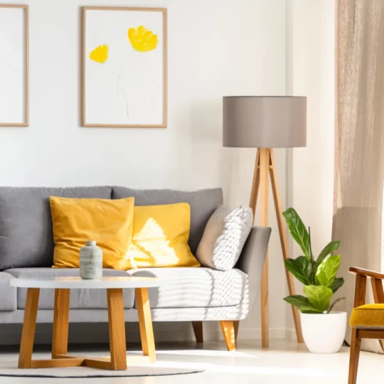 Money-Saving Tips for First-Time Homeowners