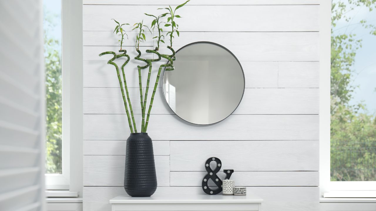 Tall bamboo plant in a black pot with bamboo stalks and leaves, against a white paneled wall with a round mirror.