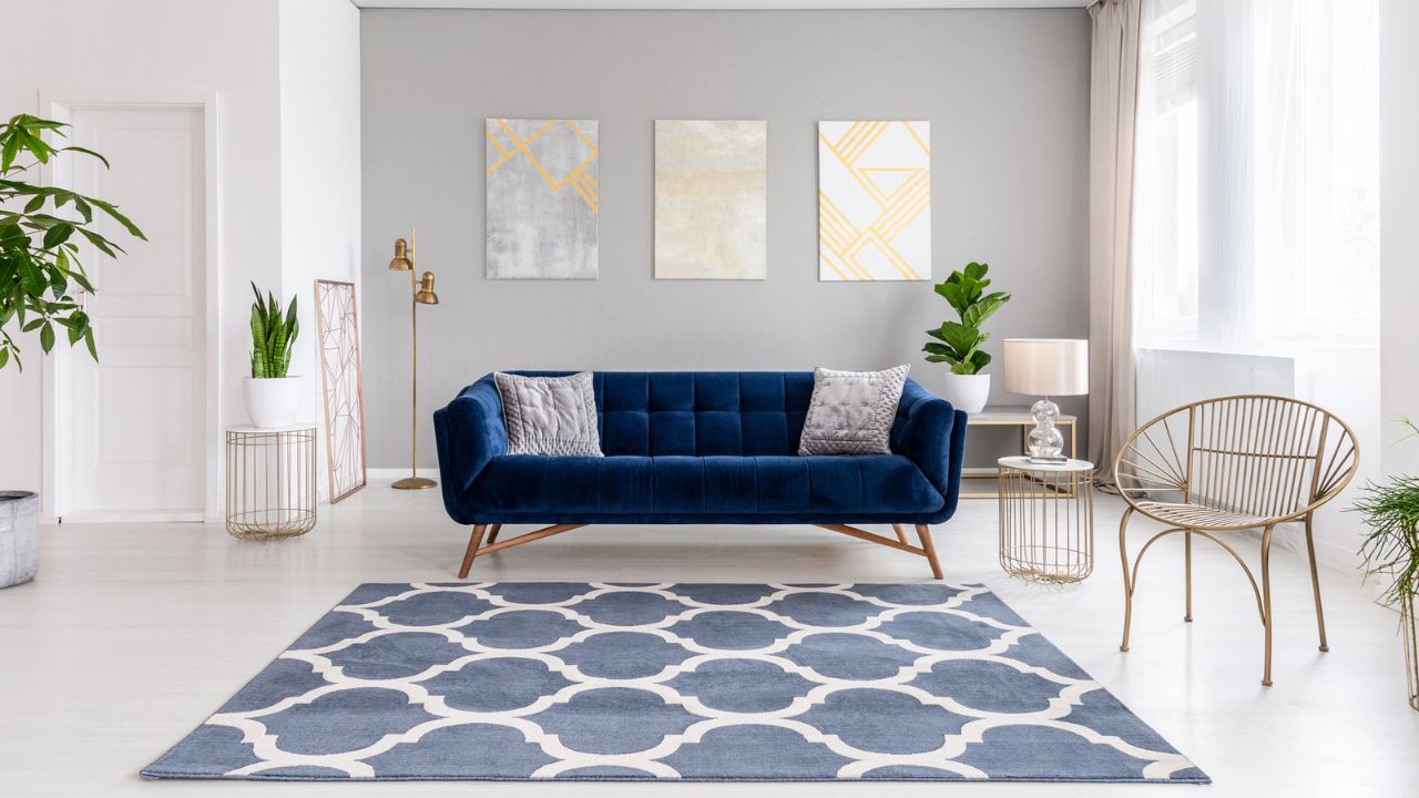 Stylish living room with a navy blue velvet sofa, houseplants, and minimalist decor.