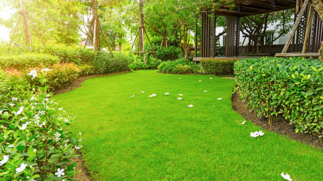 A peaceful garden scene with a grassy area, white flowers, and a small covered structure amid trees and bushes.
