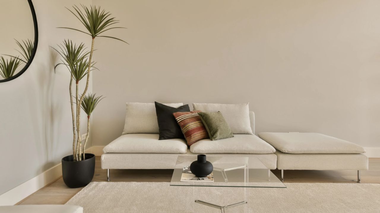 Minimalist white sofa with decorative pillows and plants.