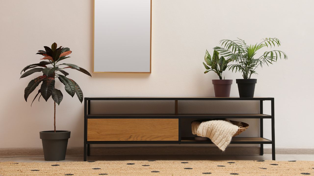 An elegant living room with a wall-mounted mirror, plants, and soft-lighting, creating a warm atmosphere.