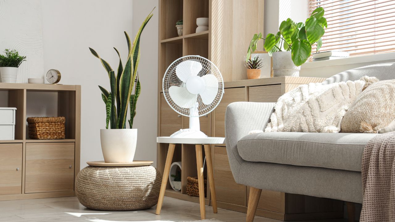 Interior of a room with a window, a fan, and houseplants.