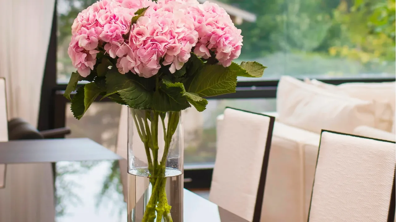 a stunning arrangement of pink hydrangeas in a clear glass