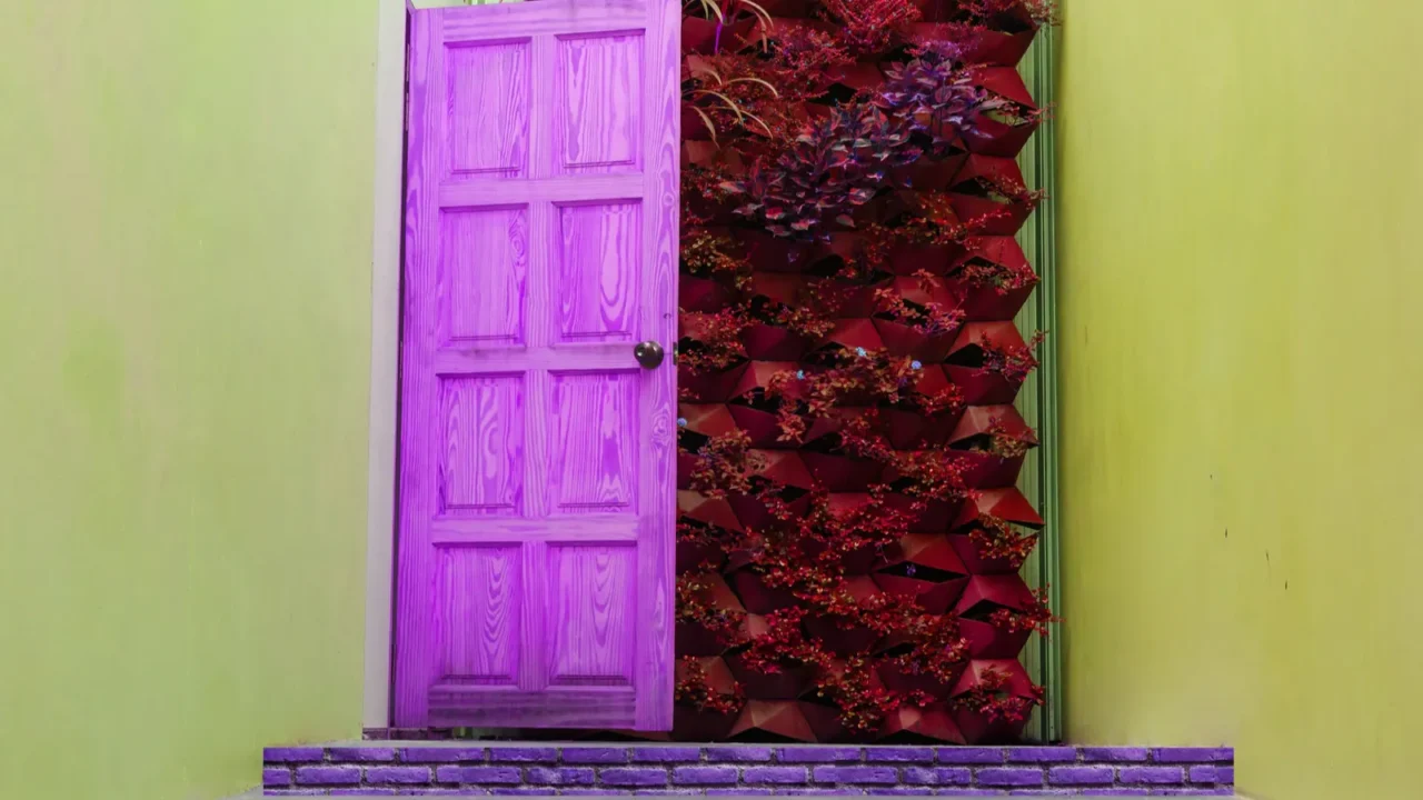 beautiful hidden painted peeling door to home