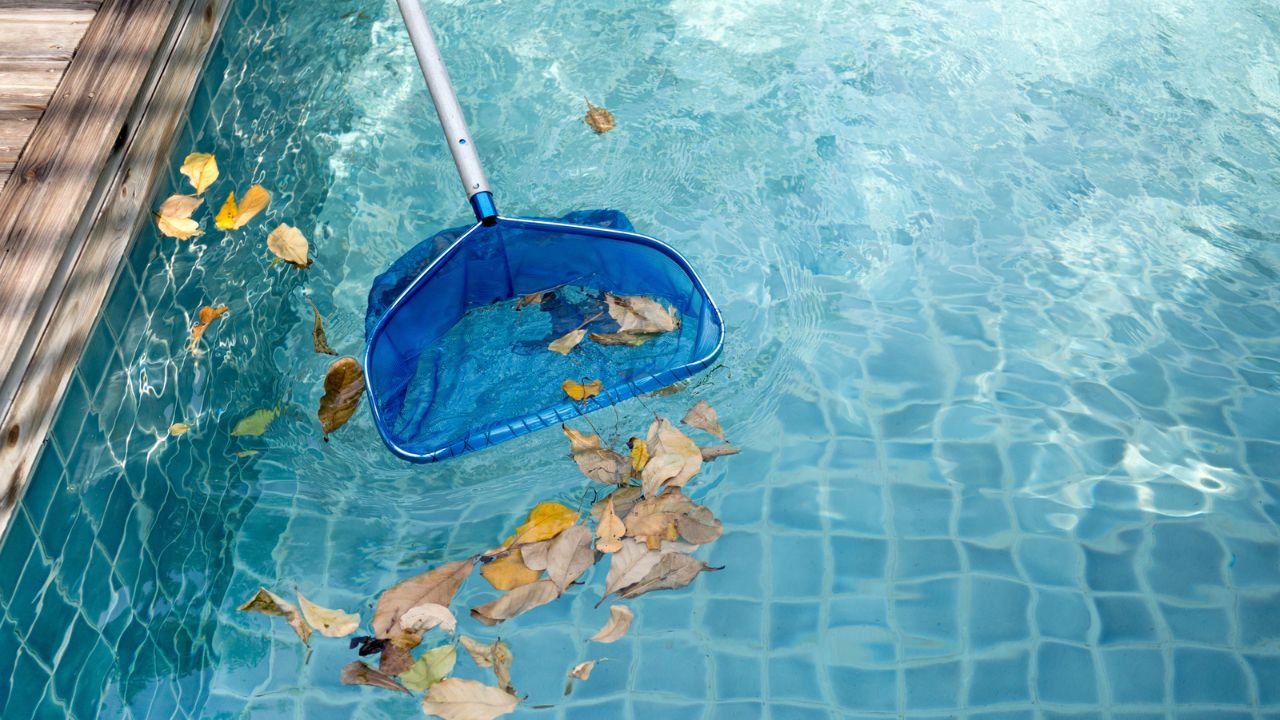Person skimming or cleaning leaves from an outdoor pool.