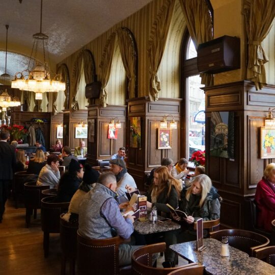What Vienna’s Coffeehouses Can Teach You About Decorating