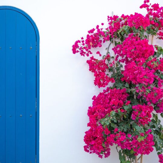 The World’s Most Photographed Walls? Greece Made Them Iconic