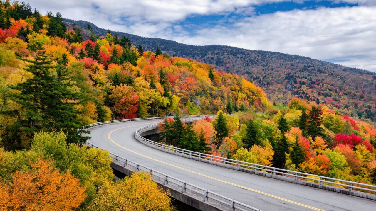 Autumn foliage along the Blue Ridge Parkway in North Carolina.