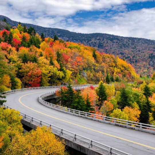 Why Asheville Is a Model for Green Living