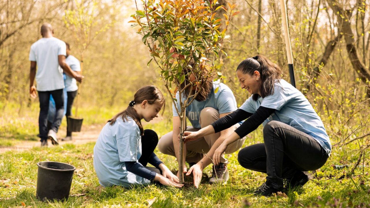 Volunteers and a little kid planting tree and covering hole in the ground, contributing to reforestation and increasing vegetation in the woods.