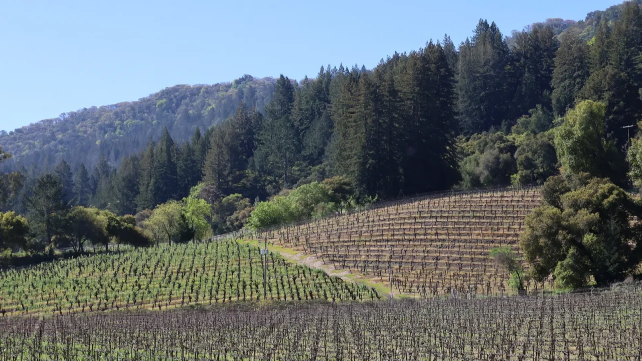 492024 glen ellen california usa jack london state park california