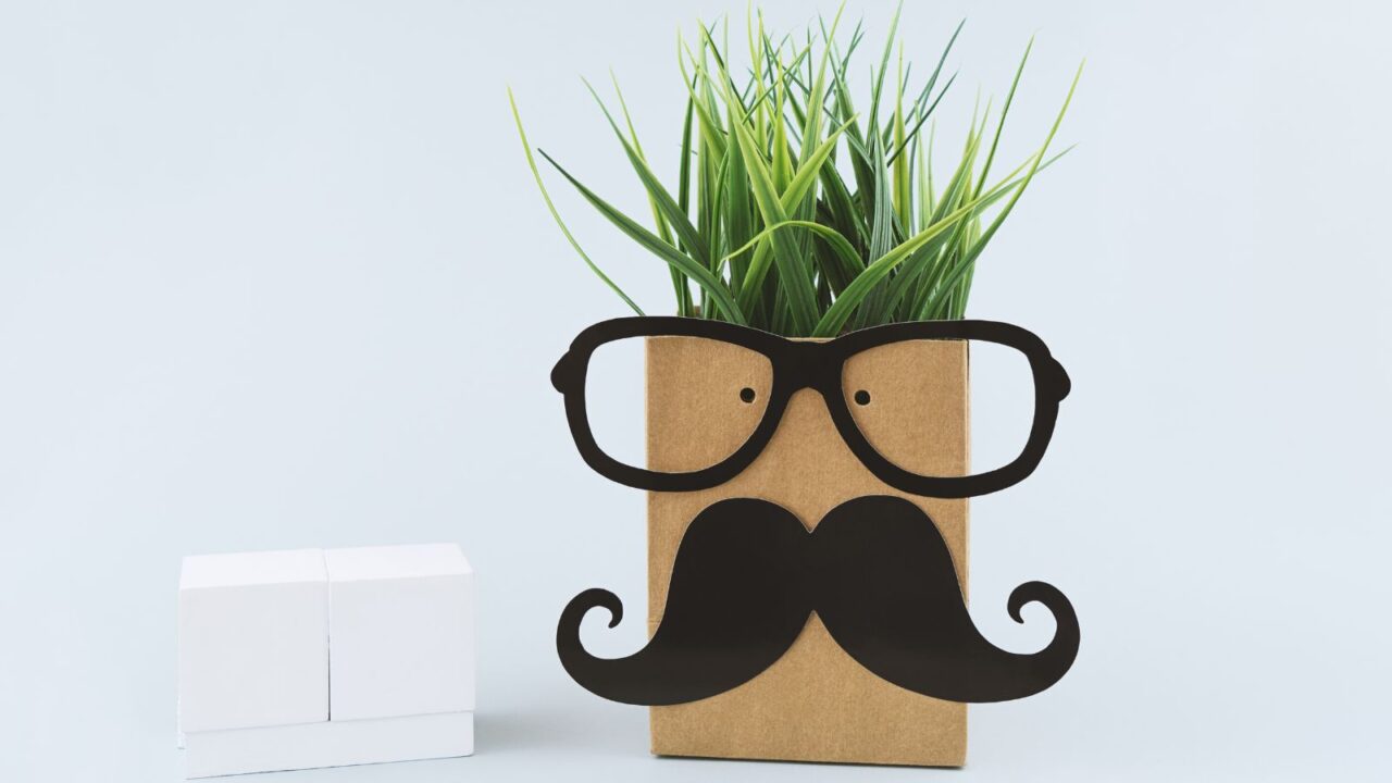 A playful cardboard box with a plant top, decorated with glasses and a mustache, resembling a quirky face.