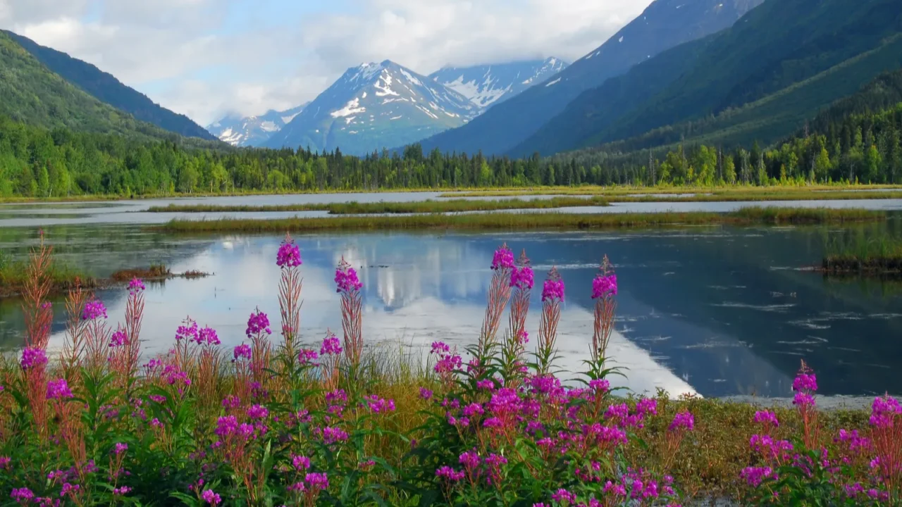alaskan mountain and lake landscape