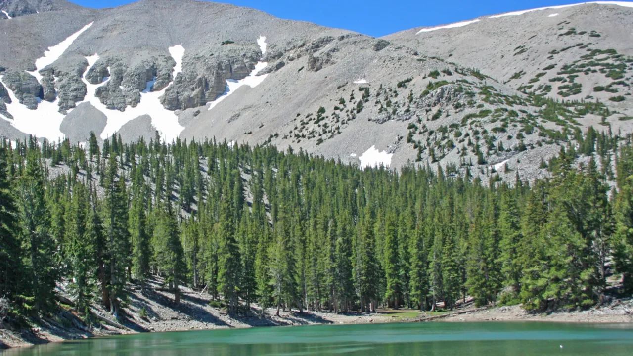 landscape with a lake