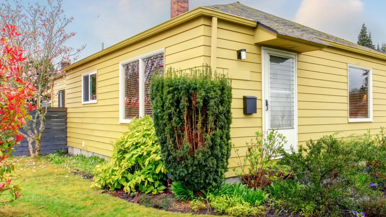 lovely greenery in back yard of modern home