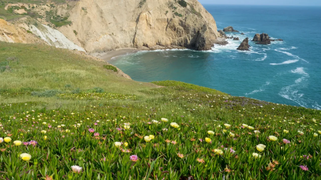 point reyes national seashore in california