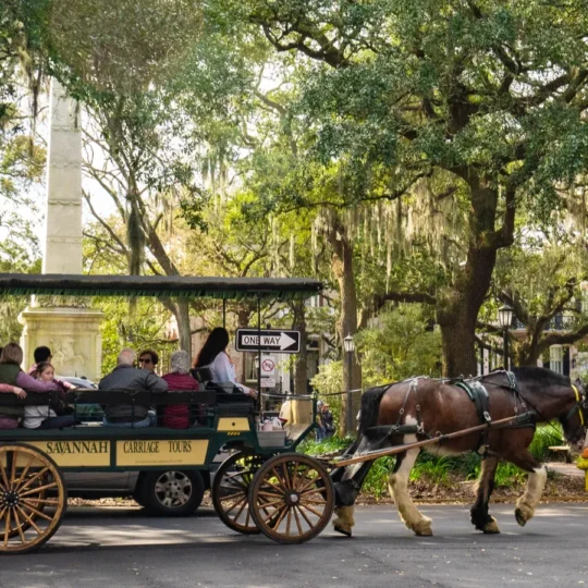 Best Things to Do in Savannah for a Relaxing Weekend