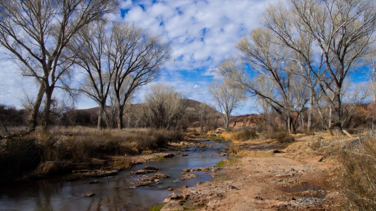 The San Pedro River in Arizona, near the towns of Benson, Sierra Vista, Fort Huachuca, and Tombstone, in Cochise County, with water streaming down river, in February of 2024.