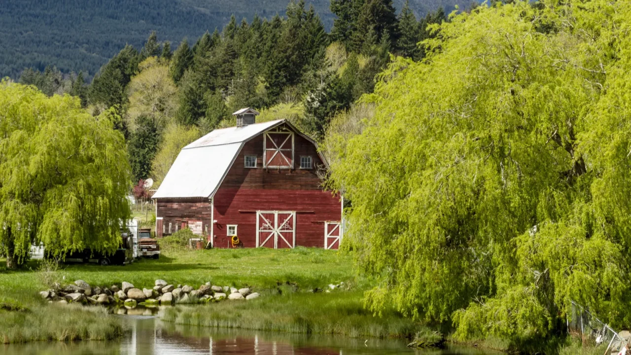 brinnon washington barn by pond