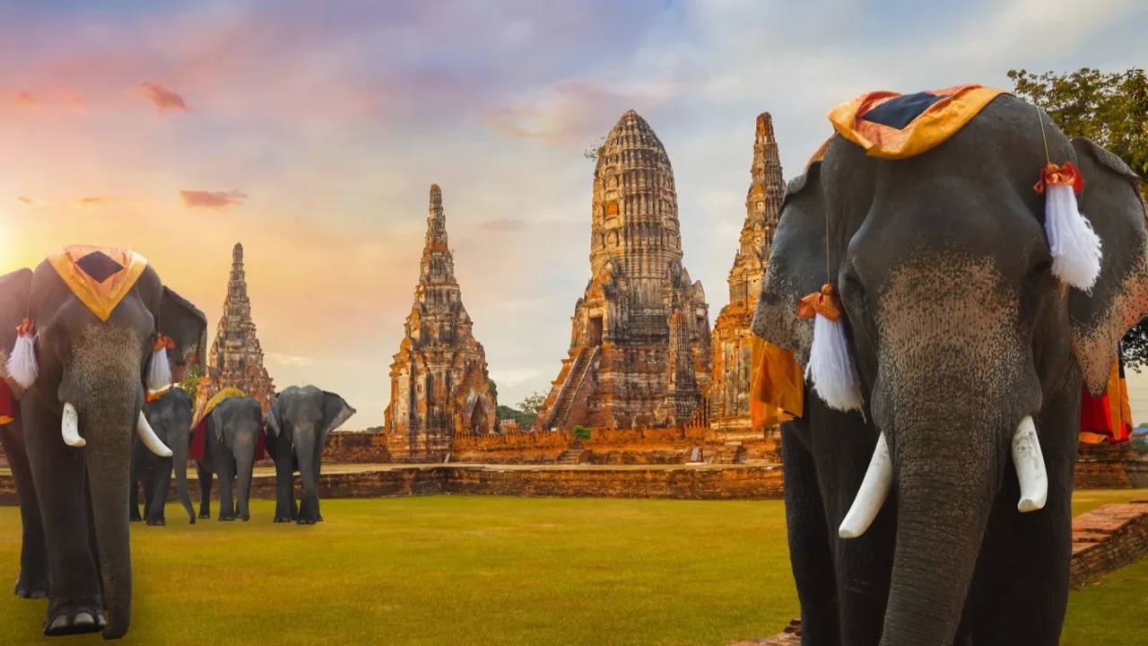 elephant at wat chaiwatthanaram temple in ayuthaya historical park a