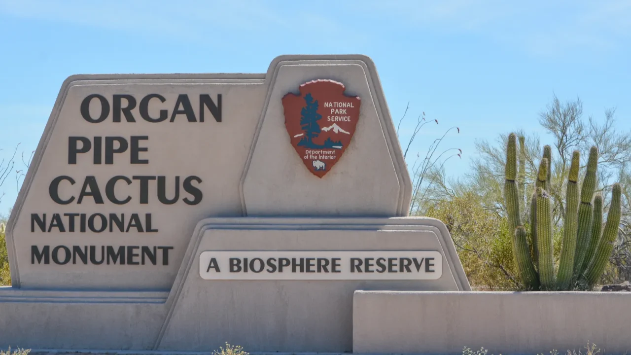 organ pipe cactus national monument is a biosphere reserve pima