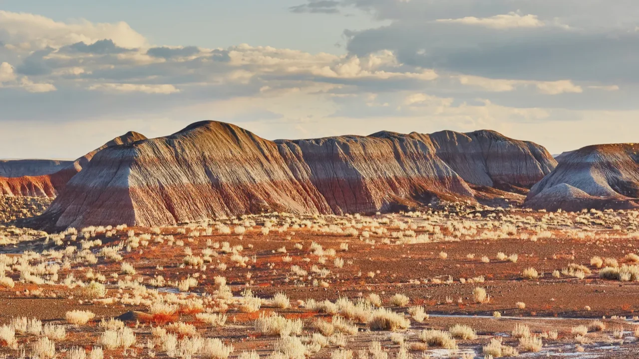scenic view of a landscape in the painted desert national