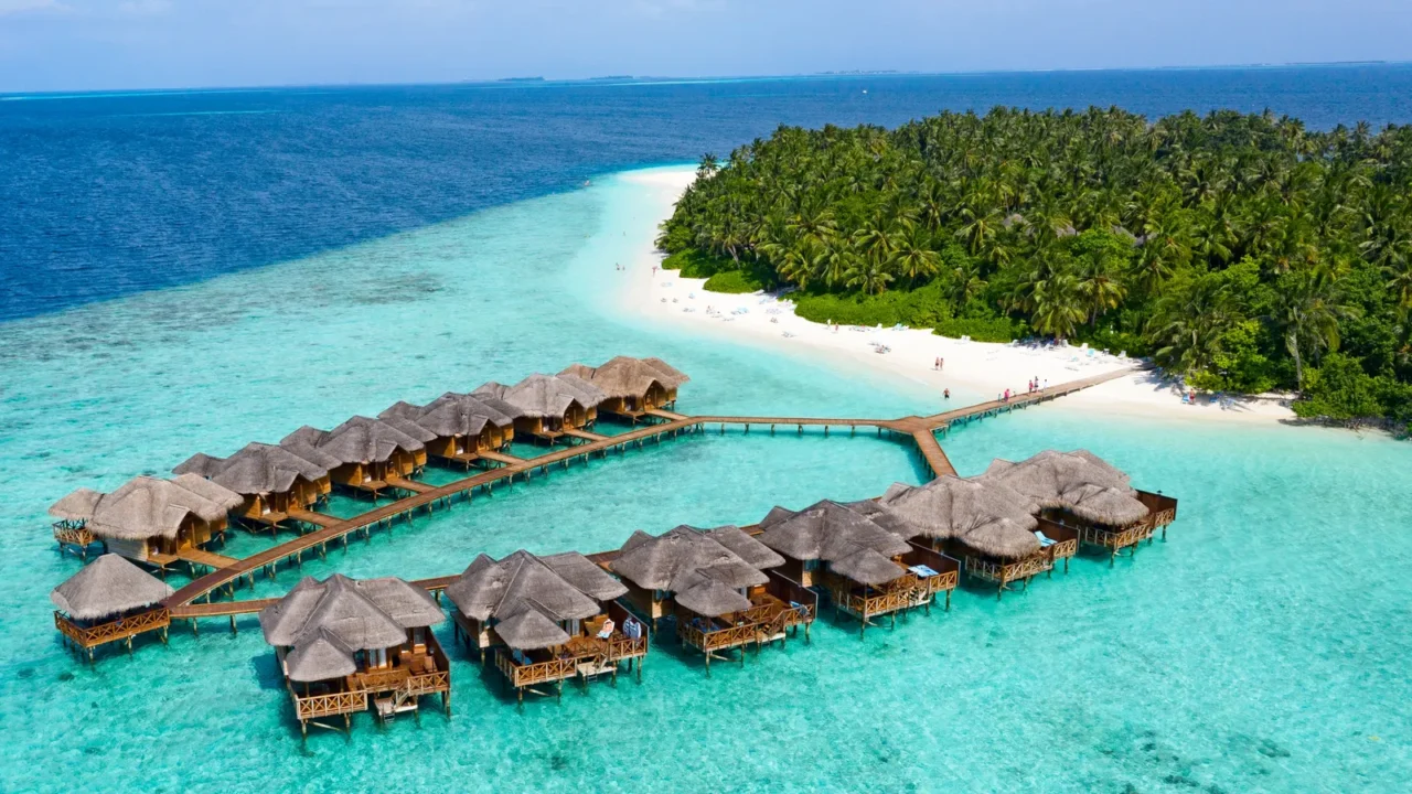 small island in the maldives covered by palms and surrounded