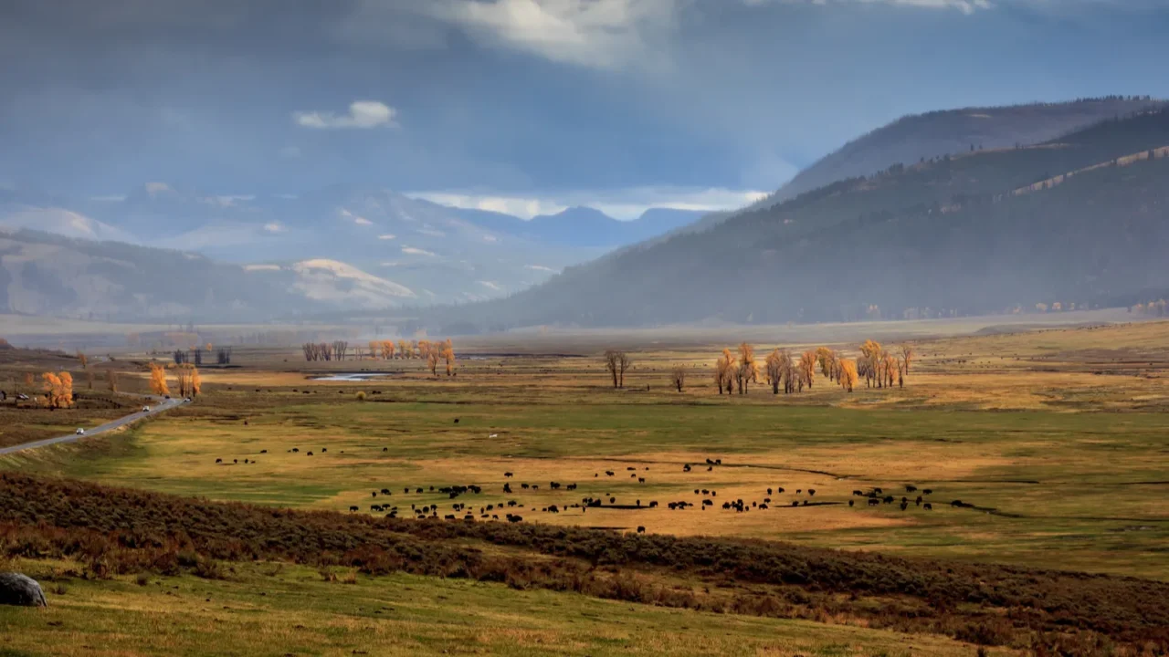 storms moving through the lamar valley in yellowstone national park