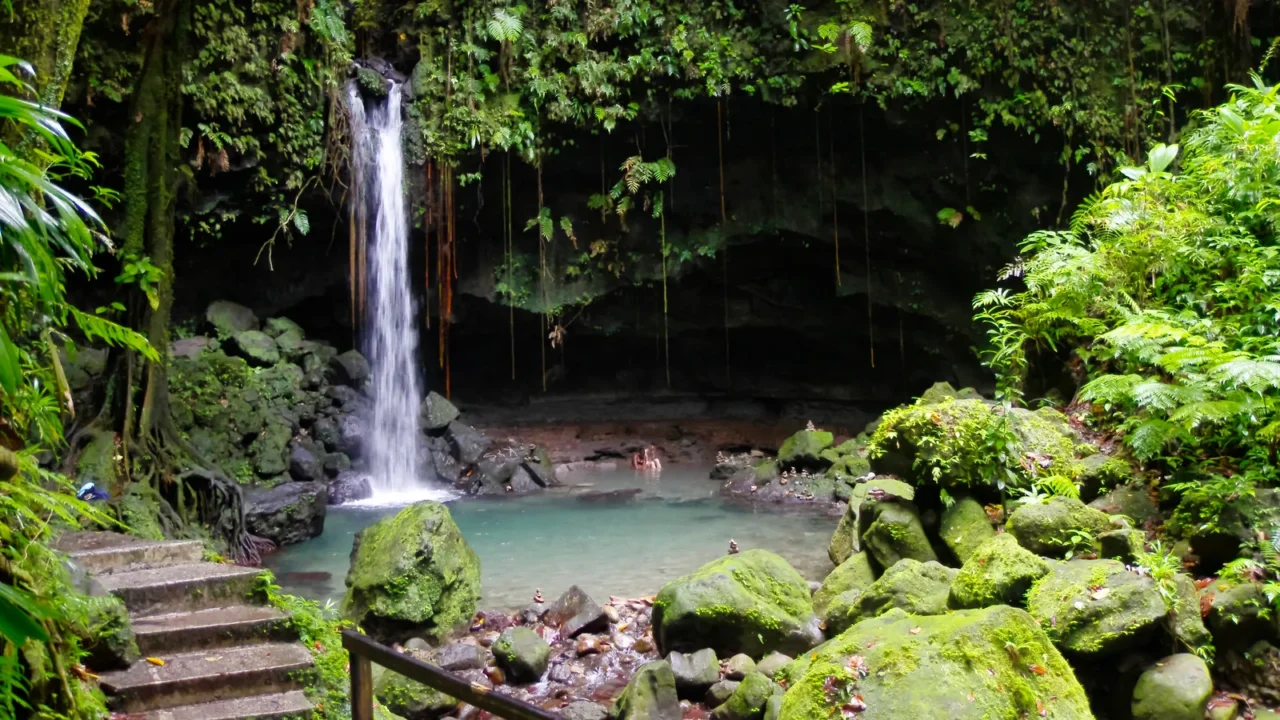 the emerald pool central forest reserve dominca island lesser antilles