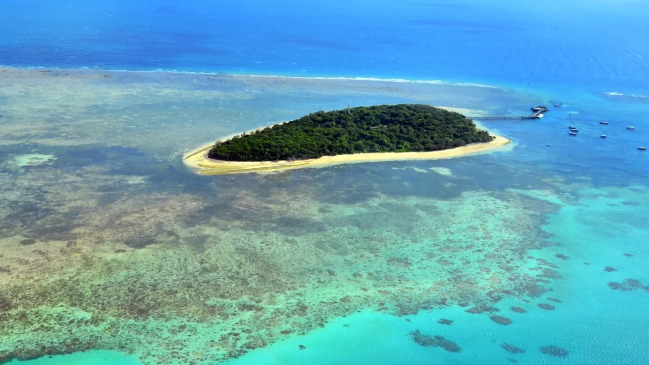 aerial view of green island reef at the great barrier