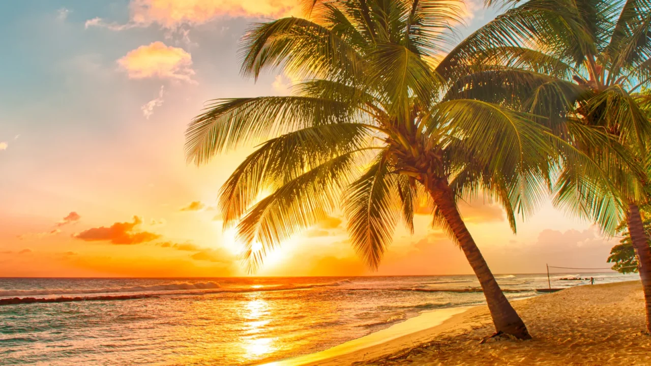 barbados