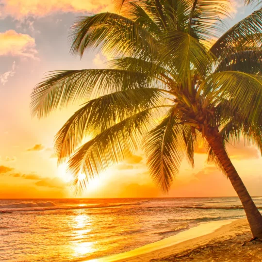 The best sunset spots in Hawaii to see this summer